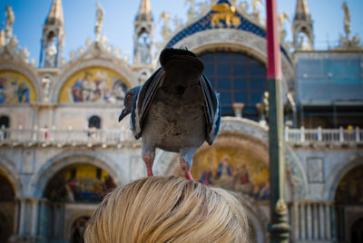 Rear view of a statue against temple