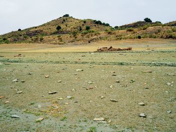 View of a field