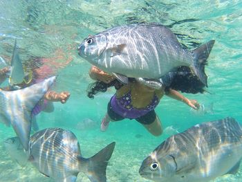 Women snorkeling underwater