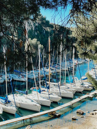 Sailboats moored in sea