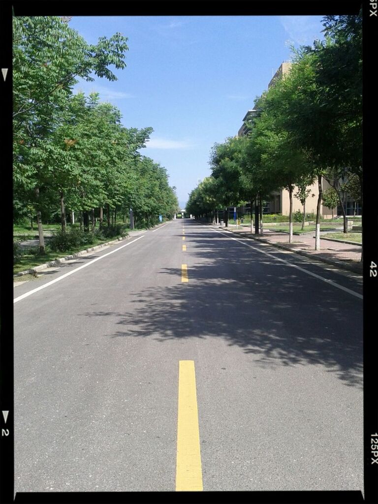 the way forward, transportation, road, tree, road marking, diminishing perspective, vanishing point, transfer print, asphalt, street, sky, auto post production filter, empty, empty road, treelined, long, country road, road sign, sunlight, double yellow line