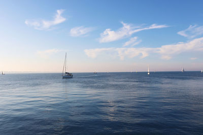 Sailboat sailing on sea against sky