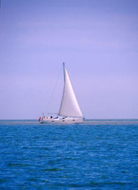 Sailboat sailing in sea against sky