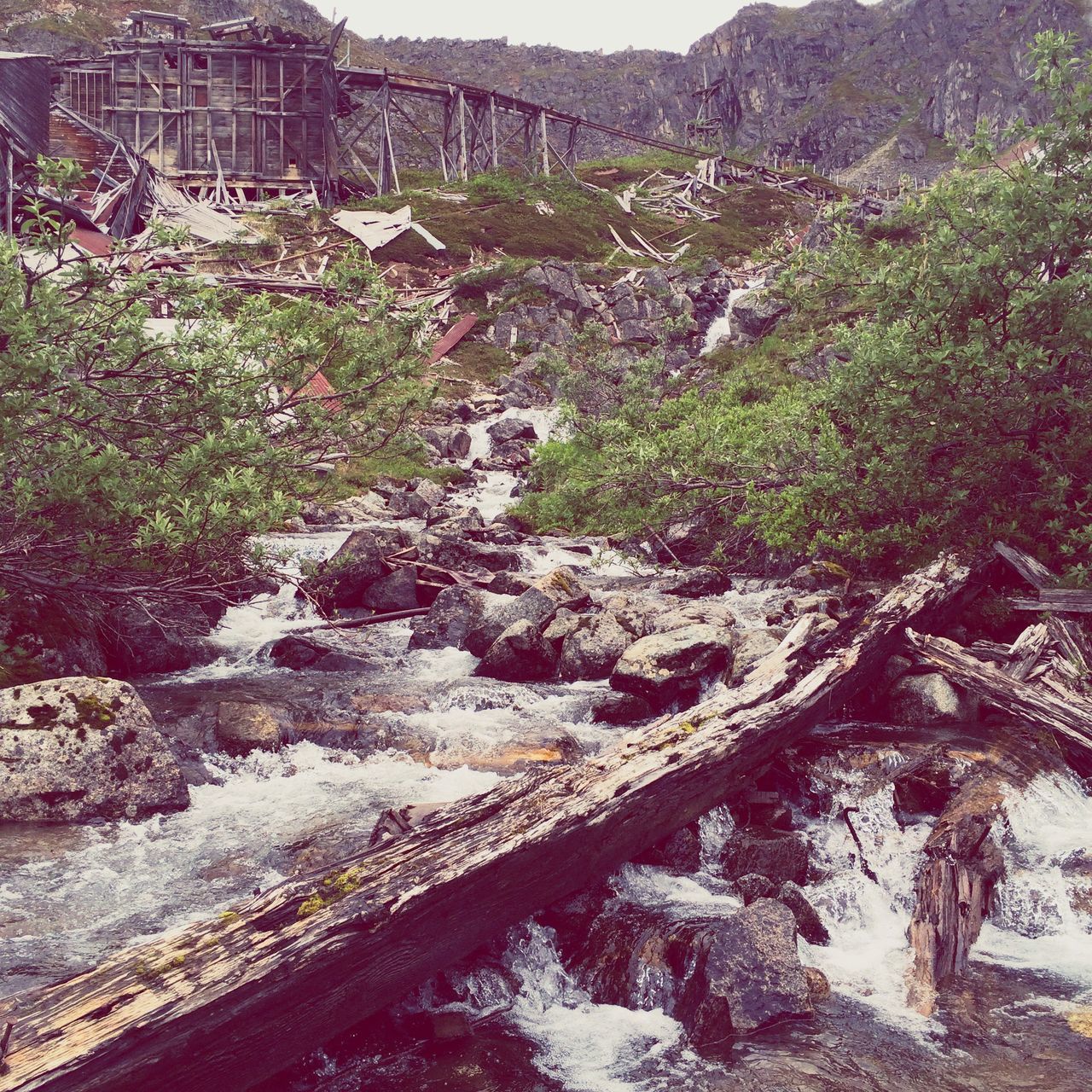 mountain, rock - object, tree, scenics, nature, rock formation, beauty in nature, tranquility, tranquil scene, landscape, plant, rock, day, outdoors, no people, growth, non-urban scene, mountain range, flowing water, hill, idyllic, remote, non urban scene, sky