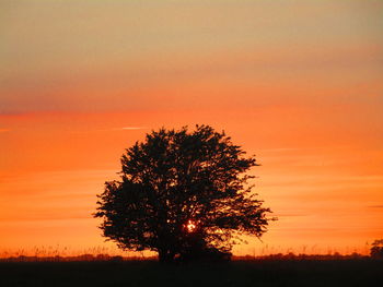 Silhouette tree on field against romantic sky at sunset