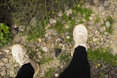 Low section of person standing on footpath
