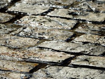 Full frame shot of paving stone