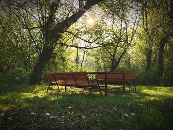 Empty bench in park