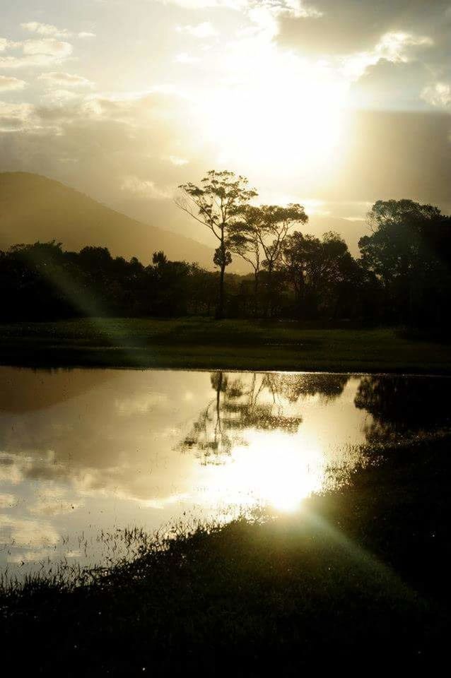 reflection, sunset, tree, sun, tranquil scene, sunbeam, water, nature, tranquility, scenics, lake, sunlight, sky, silhouette, no people, beauty in nature, outdoors, landscape, day