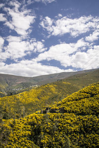 Scenic view of field against cloudy sky