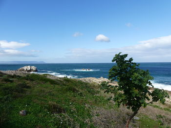 Scenic view of sea against sky