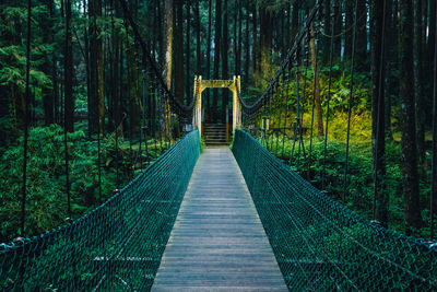 Empty footbridge at forest