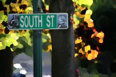 Close-up of road sign