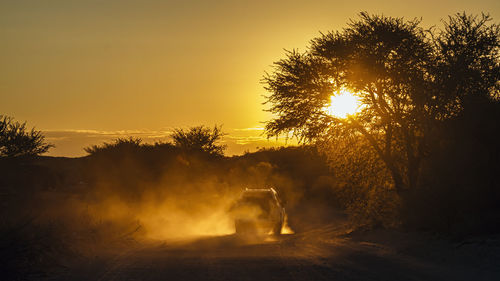 Scenic view of sunset