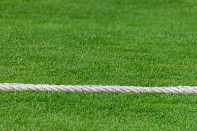 Close-up of rope on grass