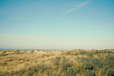 Scenic view of landscape against clear sky