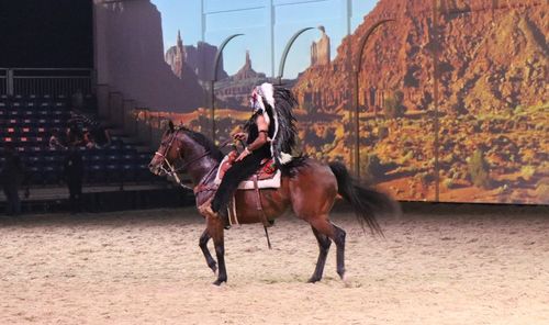 Horse riding horses