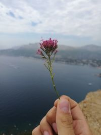 Close-up of hand holding plant against sky