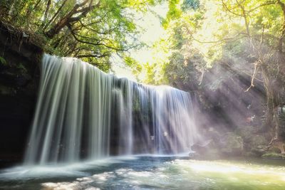 Scenic view of waterfall in forest