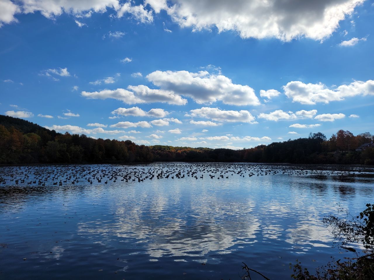 reflection, water, nature, sky, cloud, lake, scenics - nature, body of water, beauty in nature, tree, tranquility, dusk, tranquil scene, environment, landscape, no people, mountain, reservoir, morning, plant, shore, blue, travel destinations, forest, land, non-urban scene, outdoors, day, travel, wilderness, idyllic, animal, animal wildlife, tourism, animal themes