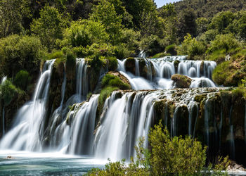 View of waterfall in forest