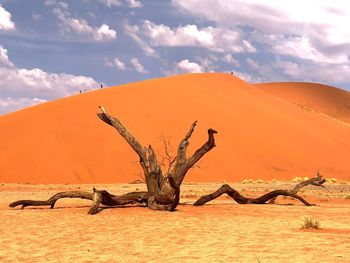 Dead tree in desert against sky