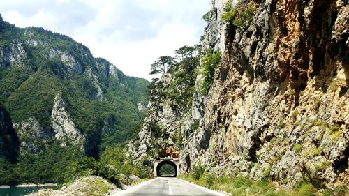 Low angle view of trees against sky