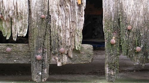 Close-up of wooden flower