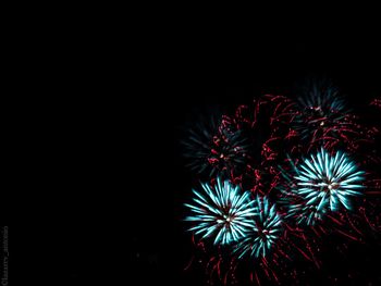 Low angle view of firework display at night