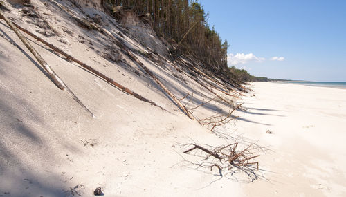 Driftwood on beach against sky