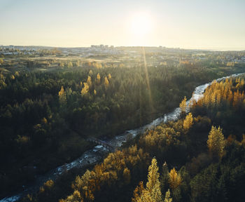 River flowing through autumn forest in sunny day