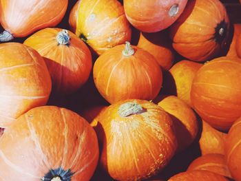 Pumpkins for sale at market