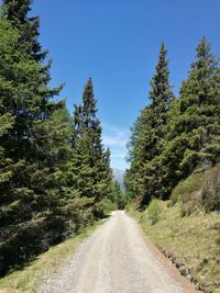 Road amidst trees against clear blue sky