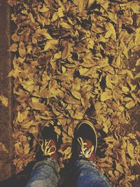 Low section of man standing on fallen leaves