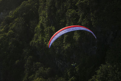 Person paragliding against trees on mountain