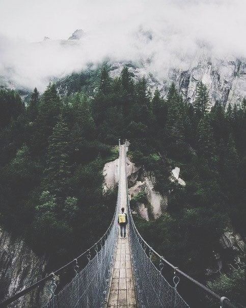 tree, plant, forest, transportation, nature, connection, direction, the way forward, bridge, built structure, architecture, bridge - man made structure, day, growth, footbridge, scenics - nature, land, mountain, sky, rope bridge, diminishing perspective, outdoors, no people