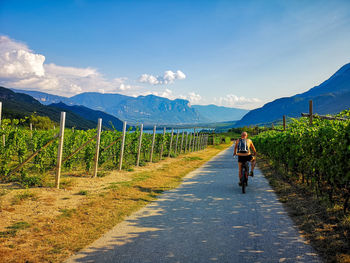 Rear view of people walking on road against sky