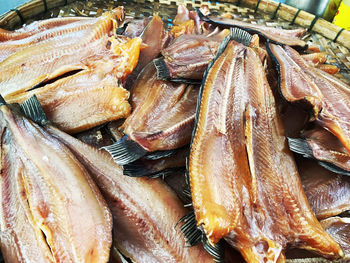 Close-up of seafood for sale