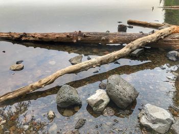 Close-up of rocks by lake against sky