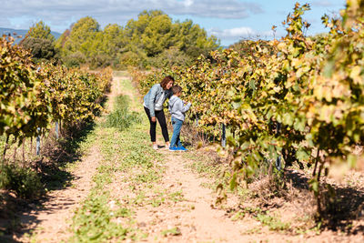 Mother and son looking grapes on a vineyard