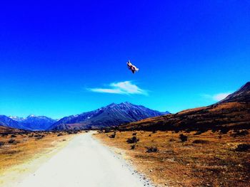 Scenic view of landscape against blue sky