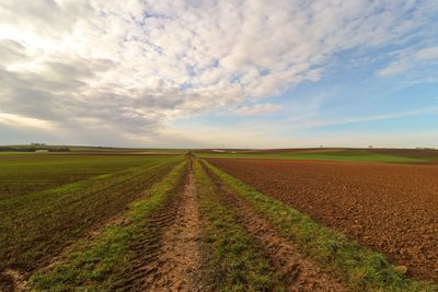 Scenic view of agricultural field against sky