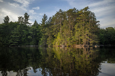 Warm golden sun setting on trees over a lake during summer in ontario, canada