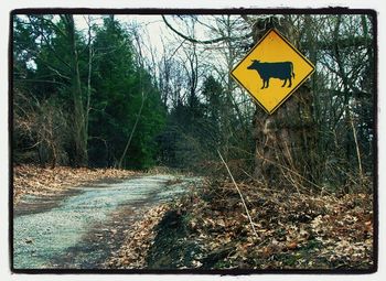 road sign