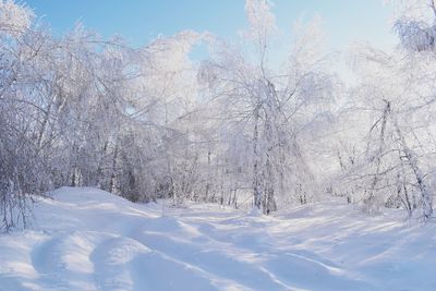 Snow covered land against sky