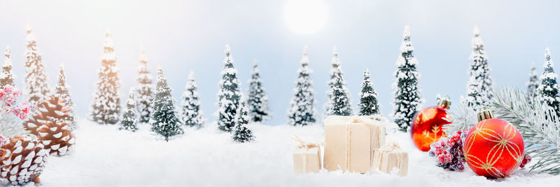 Panoramic view of christmas tree on snow covered field