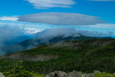 Scenic view of landscape against sky