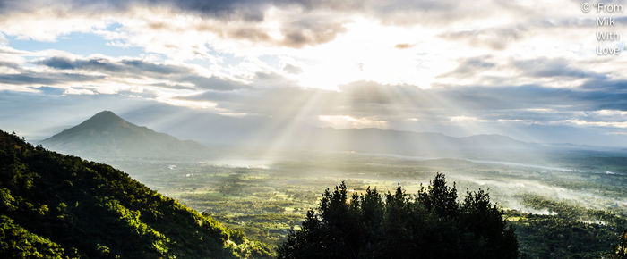 Sunlight streaming through trees on landscape against sky