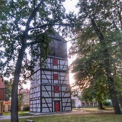 Trees with buildings in background