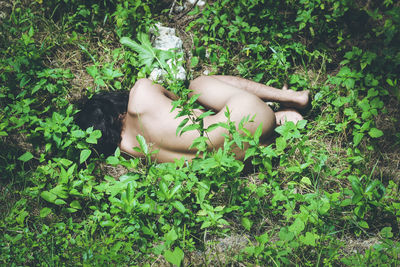 High angle view of naked man lying amidst plants in forest